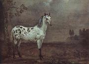 POTTER, Paulus A geschecktes horse Sweden oil painting artist